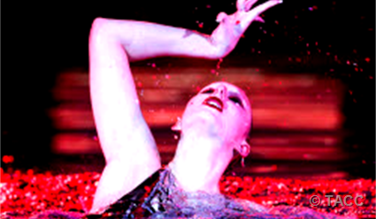 Шоу олимпийских чемпионов по синхронному плаванию "Спорт как искусство"