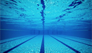 Президиум Всероссийской федерации плавания считает неприемлемыми критерии участия российских спортсменов в соревнованиях World Aquatics