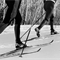 Лыжные гонки. Марафонская серия Ski Classics 2022. 55 км (прямая видеотрансляция)