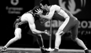 Сборная России по борьбе завоевала 17 медалей на чемпионате мира для спортсменов не старше 20 лет