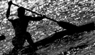 Гребцы из России пропустят этап Кубка мира в Канаде из-за отсутствия виз