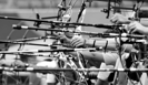 Всемирная федерация стрельбы из лука сняла ограничения с российских спортсменов