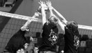 Летний Фестиваль волейбола "Московское лето"